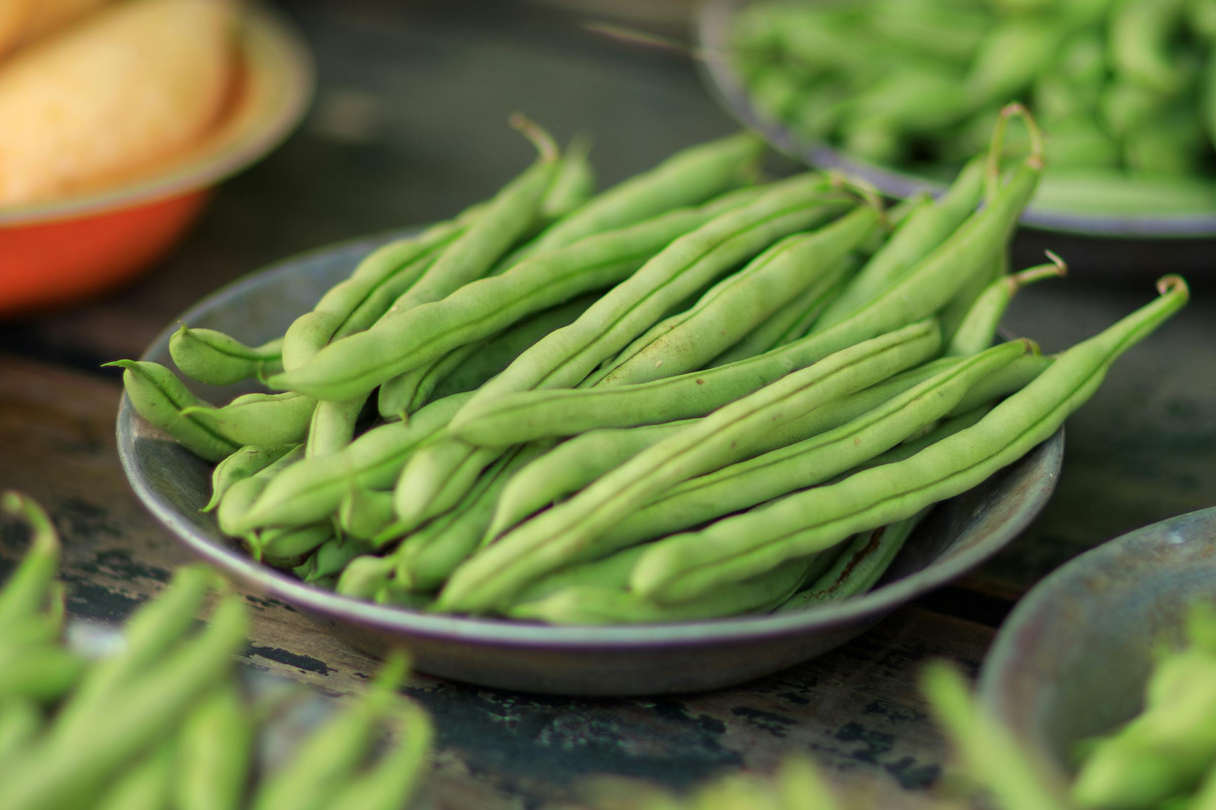 四季豆的这些知识你知道多少?