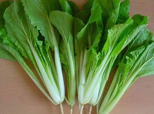 蔬菜品种：小白菜