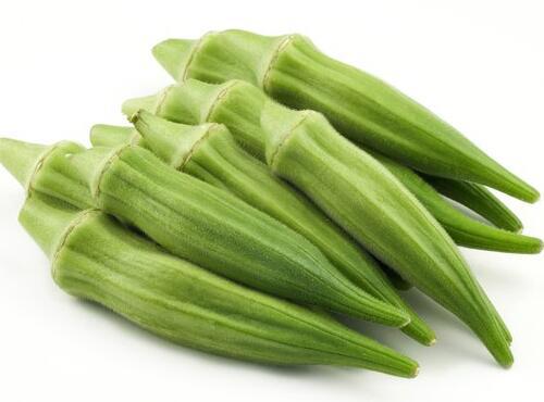 蔬菜品种：秋葵
