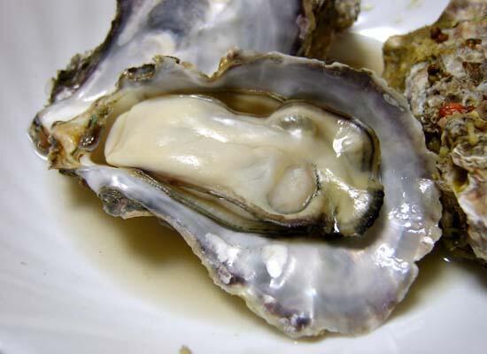 鲜活水产类：甲鱼