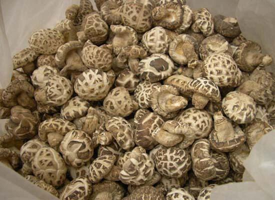 干货类配送：冬菇/香菇