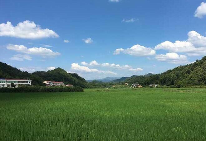 佳惠鲜蔬菜基地
