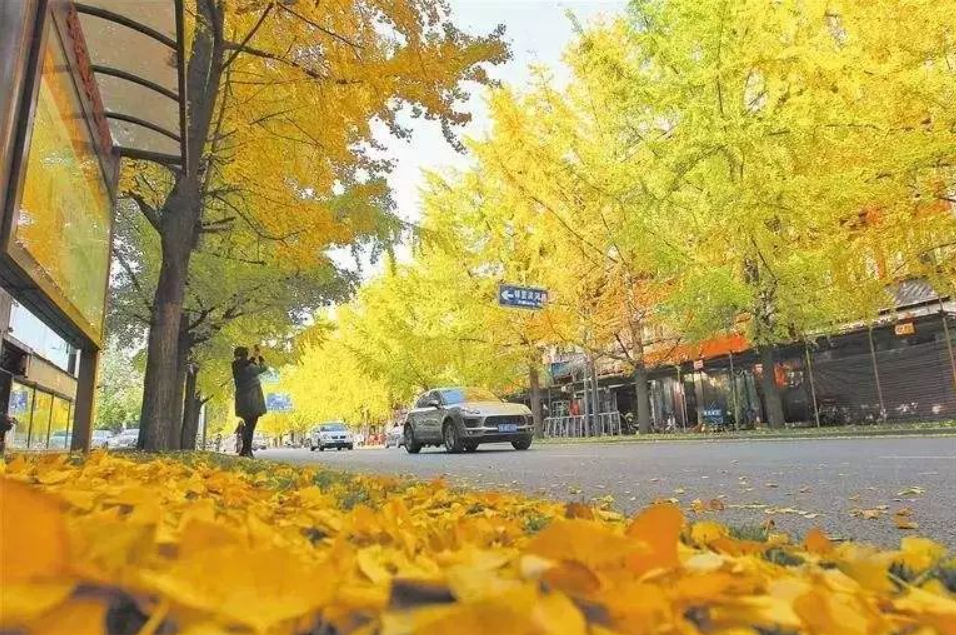 深圳农产品配送​中心浅谈老年人秋季如何保健