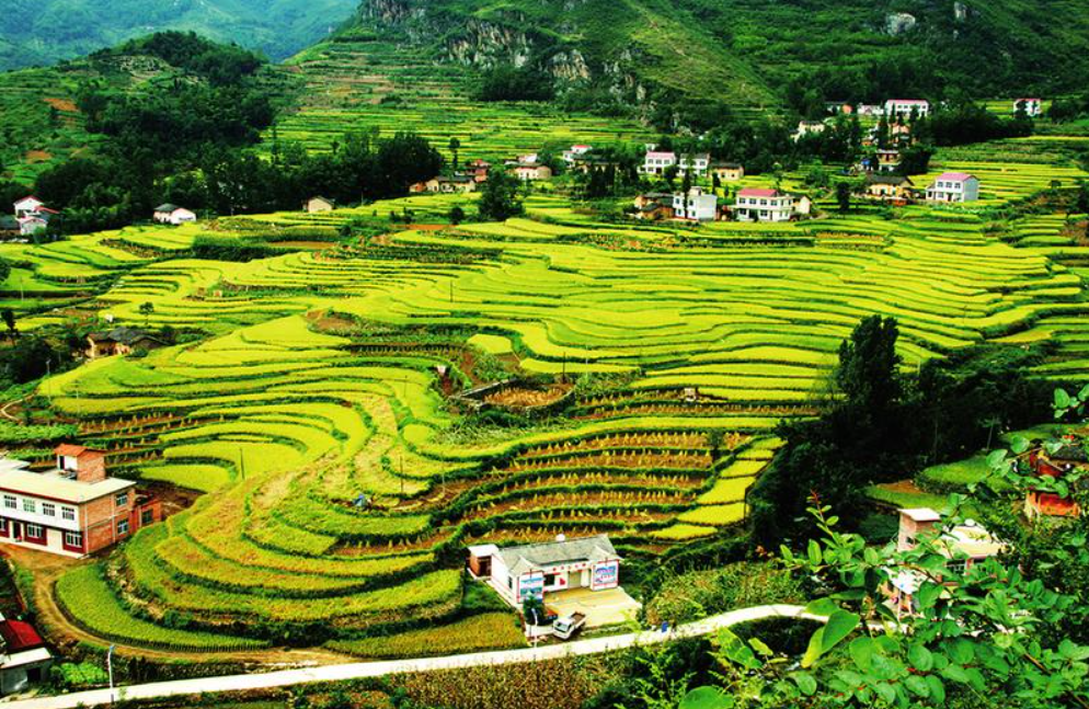 惠州蔬菜配送中心分享报道：陕西为改善农村人居环境持续发力