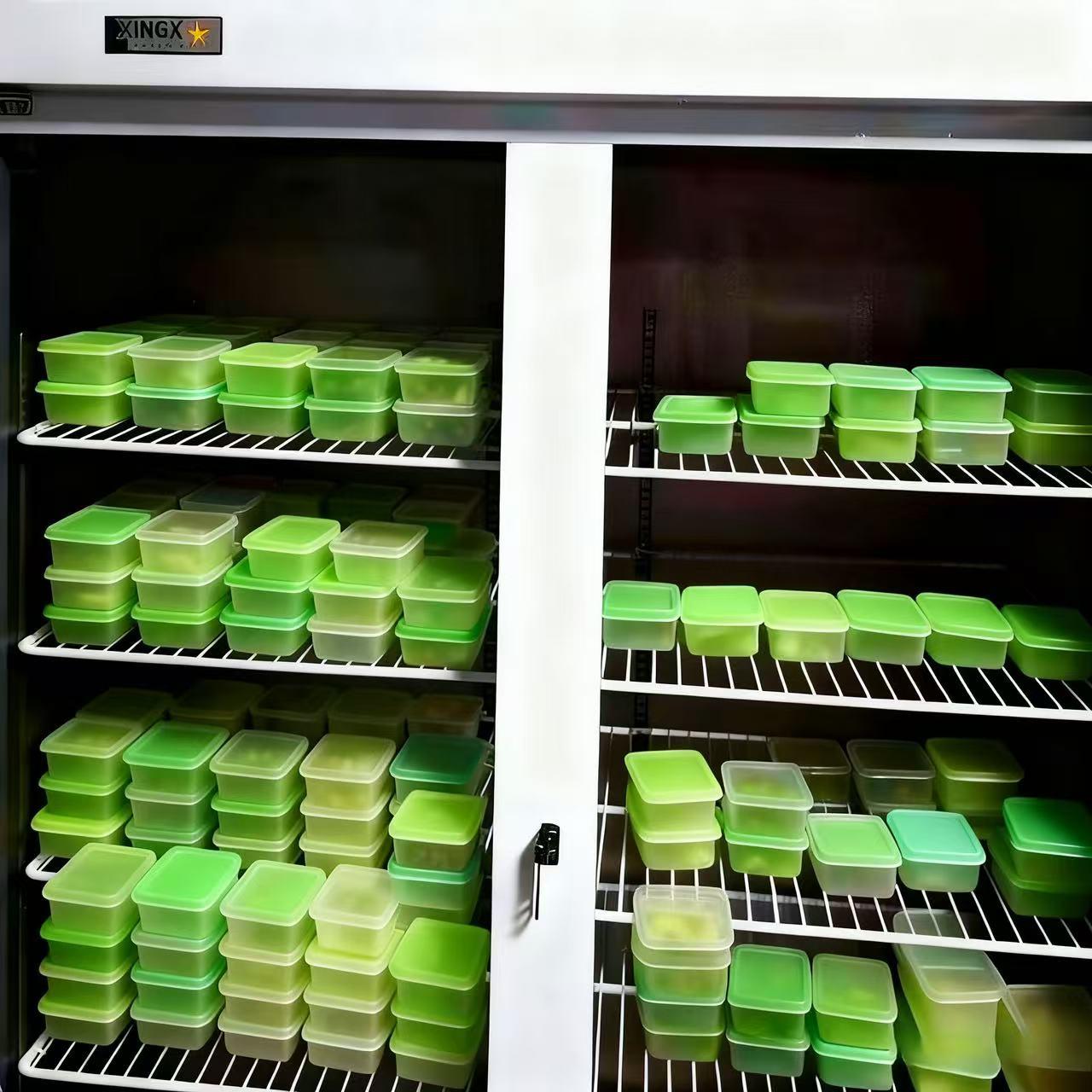 食品安全检测01