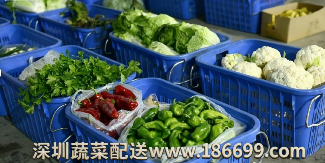 深圳食堂蔬菜配送为何选择佳惠鲜蔬菜配送中心？