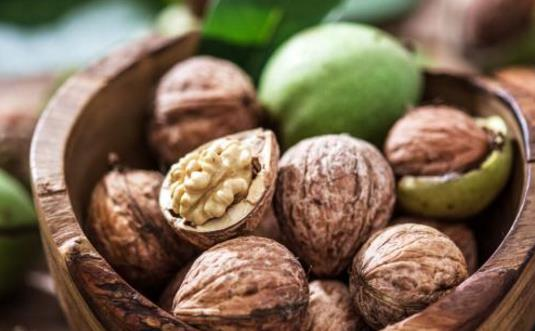 为什么核桃被称为“长寿果”？东莞生鲜食材配送中心告诉你