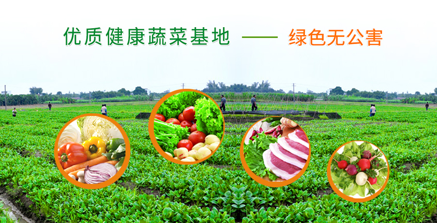 正规的蔬菜配送公司流程是怎样的