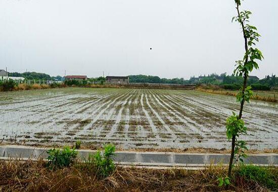 1760955131.jpg tupian_jidi05.jpg