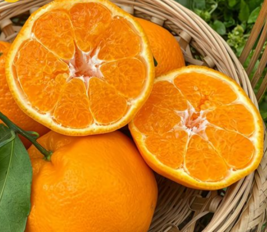 惠州蔬菜配送公司与您聊一聊耙耙柑的营养价值