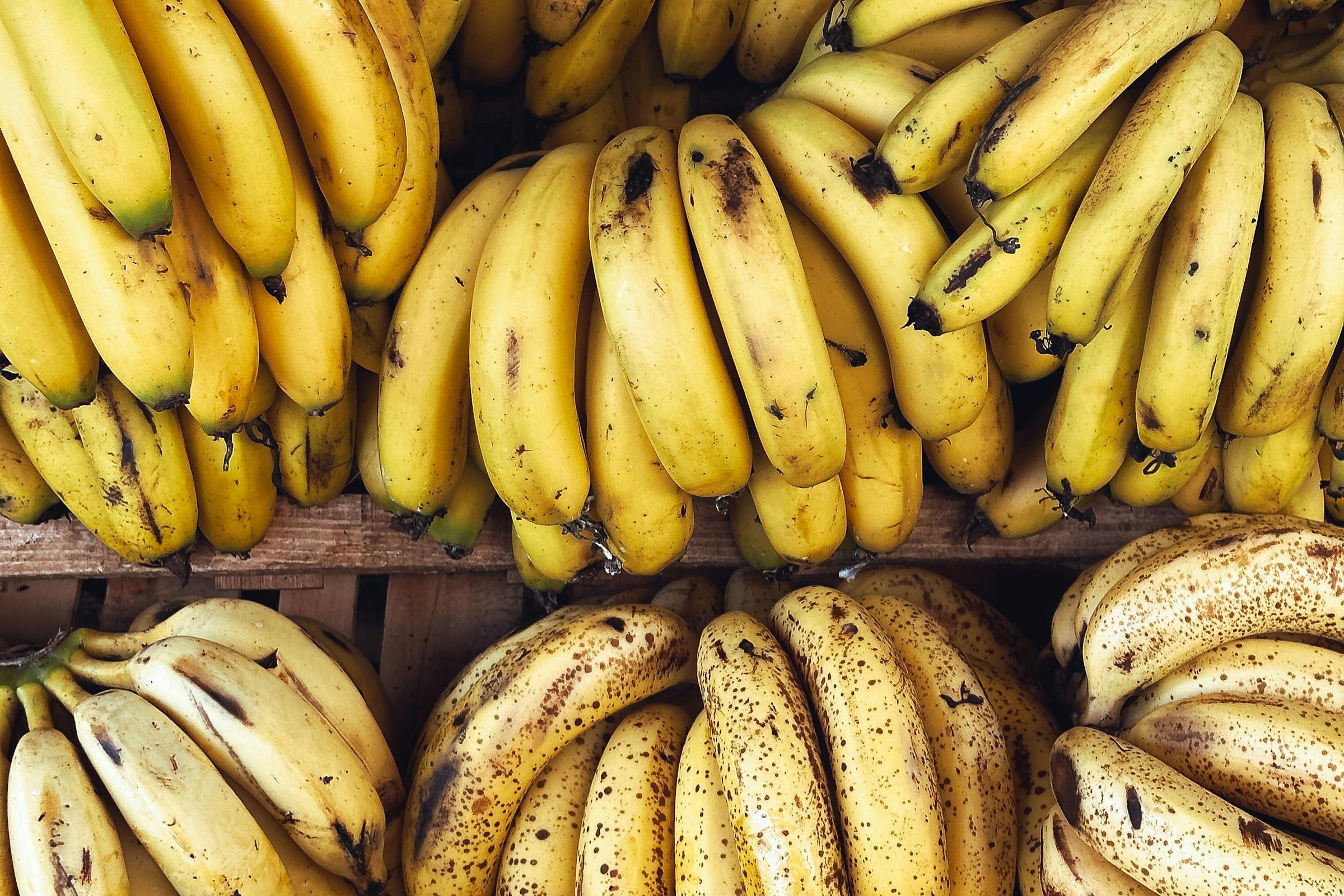 香蕉和芭蕉是同一种水果吗?