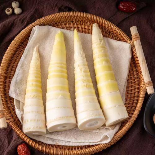 春笋：春天土生的火箭