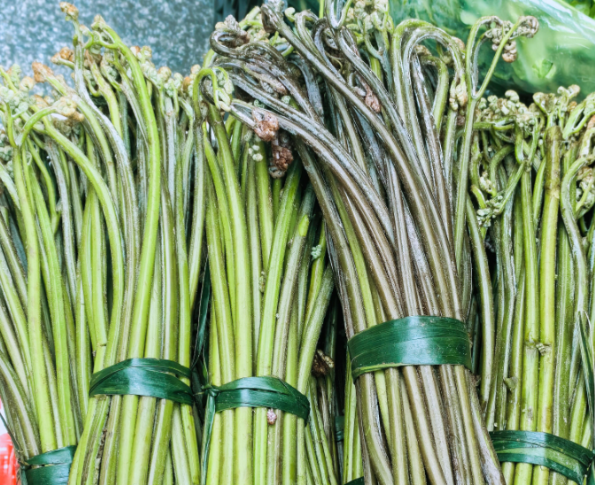 ​蕨菜：山里的“拳头菜”，吃的是春天的野性