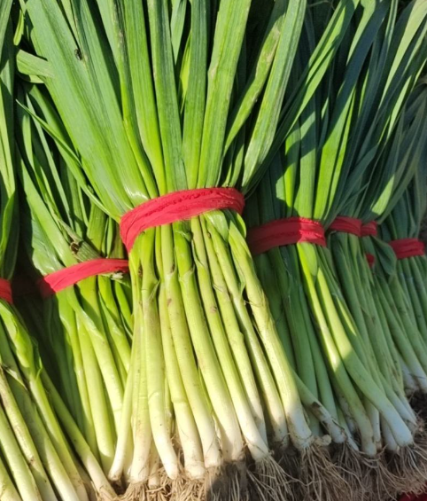 蔬菜界的双胞胎：你能分清哪几个？